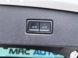 
										Volkswagen Tiguan 2.0 TDI R-line 150CV 4Motion DSG full									