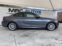 
										BMW Serie 2 218d paquete M full									