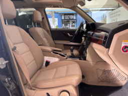 
										MERCEDES-BENZ Clase GLK 220 CDI Blue Efficiency full									