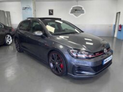 
										VOLKSWAGEN Golf GTI Performance 2.0 TSI full									