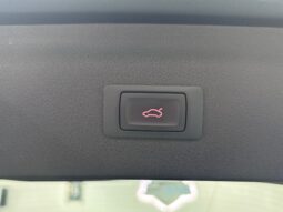 
										Q3 2.0 TDI 110kW 150CV S tronic full									