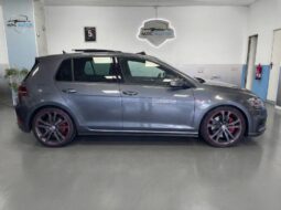 
										VOLKSWAGEN Golf GTI Performance 2.0 TSI full									
